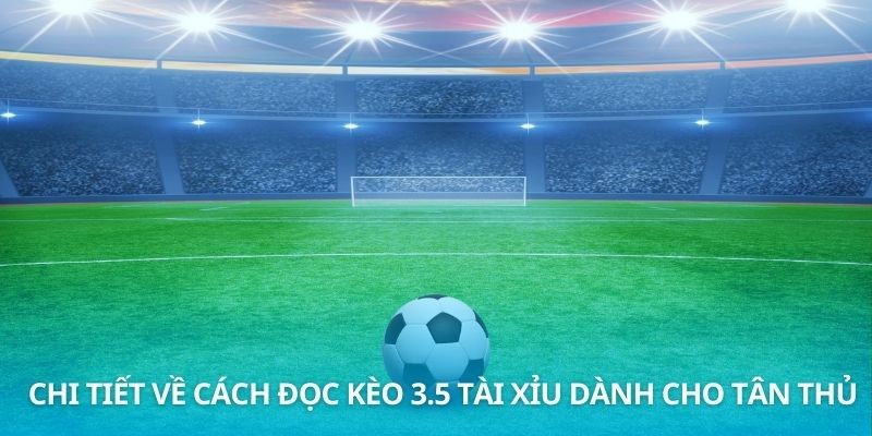 Chi tiết về cách đọc kèo 3.5 tài xỉu dành cho tân thủ