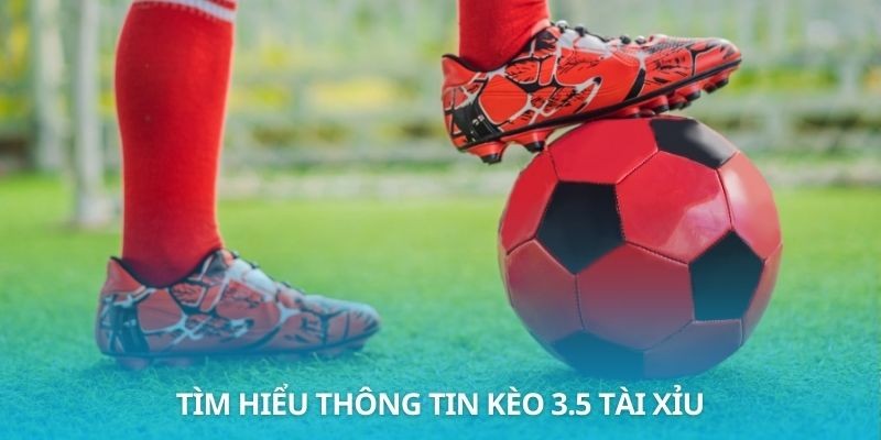 Tìm hiểu thông tin kèo 3.5 tài xỉu